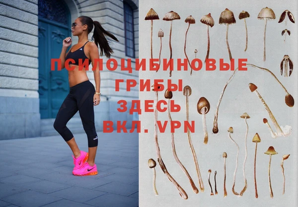 спиды Абинск