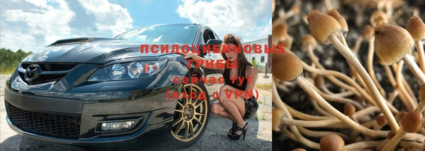 тгк Алексин