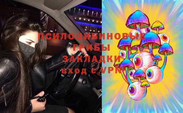 тгк Алексин
