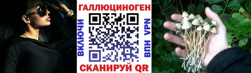 blacksprut онион  Сочи  Галлюциногенные грибы ЛСД 